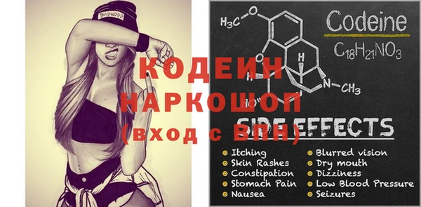 прущий лед Бородино